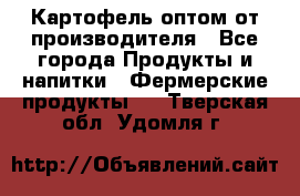 Картофель оптом от производителя - Все города Продукты и напитки » Фермерские продукты   . Тверская обл.,Удомля г.